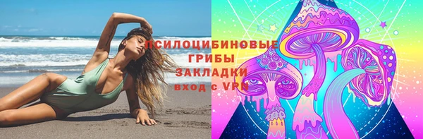 скорость Бородино